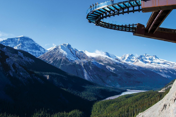 Second Hand Car Dealers in Jasper